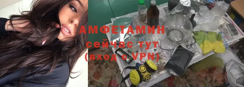 Amphetamine Розовый  Мураши 