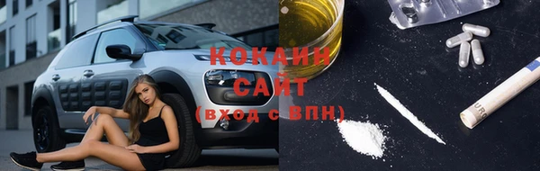 гашик Нефтекумск
