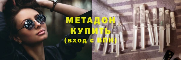 прущие грибы Вязьма