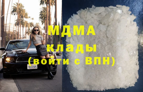 прущие грибы Вязьма