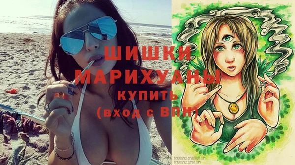 первитин Новодвинск