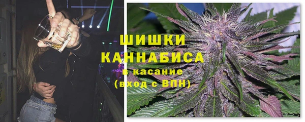 ПСИЛОЦИБИНОВЫЕ ГРИБЫ Новозыбков