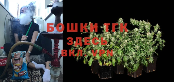 тгк Новокубанск